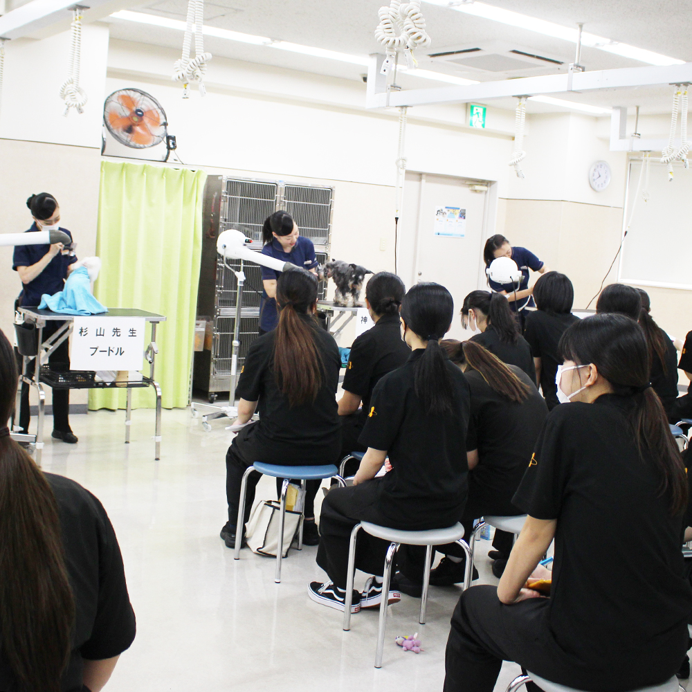 ２年生へ向けて先生の試技会～午前の部～